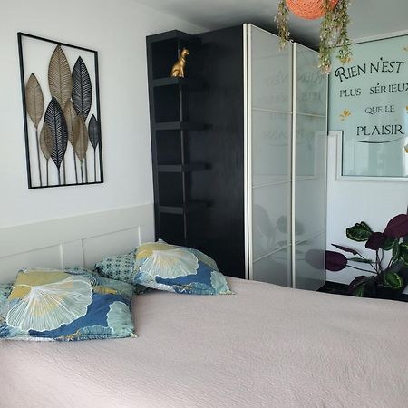 Appartement Cosy Entierement Equipe Τουλούζη Εξωτερικό φωτογραφία