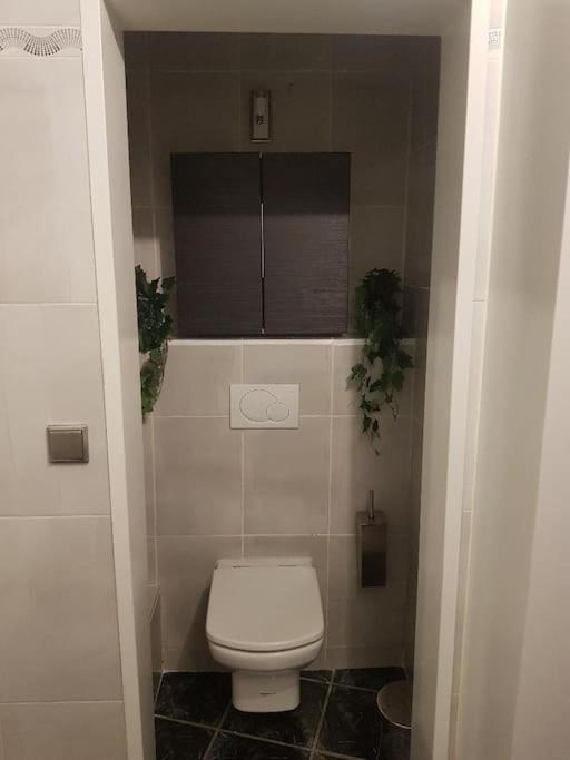 Appartement Cosy Entierement Equipe Τουλούζη Εξωτερικό φωτογραφία